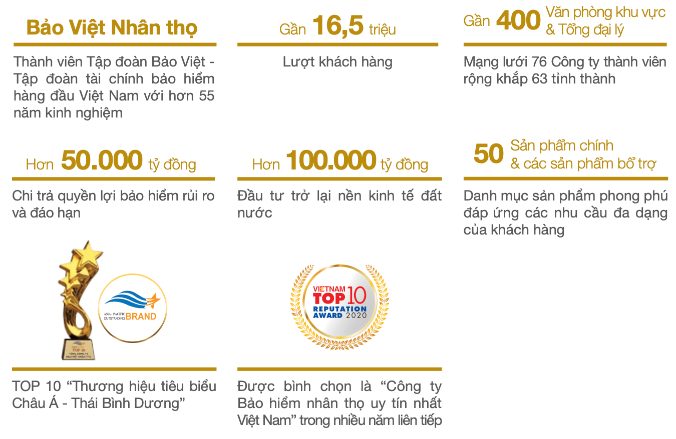 Tổng quan về Tổng công ty bảo hiểm Bảo Việt (03/2024) - Bảo Việt thương  hiệu quốc gia
